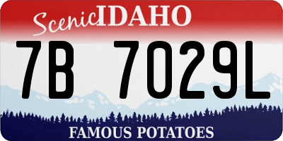 ID license plate 7B7029L
