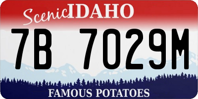 ID license plate 7B7029M
