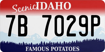 ID license plate 7B7029P