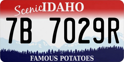 ID license plate 7B7029R