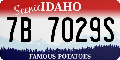 ID license plate 7B7029S