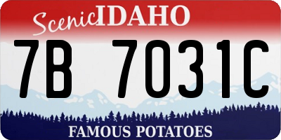 ID license plate 7B7031C