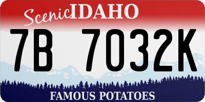 ID license plate 7B7032K