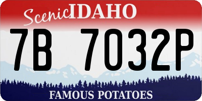 ID license plate 7B7032P