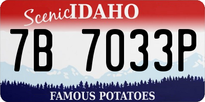 ID license plate 7B7033P