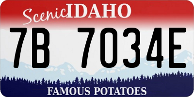 ID license plate 7B7034E