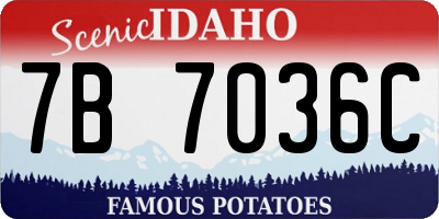 ID license plate 7B7036C