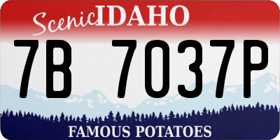 ID license plate 7B7037P