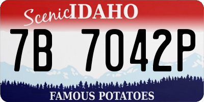 ID license plate 7B7042P