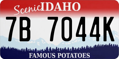 ID license plate 7B7044K