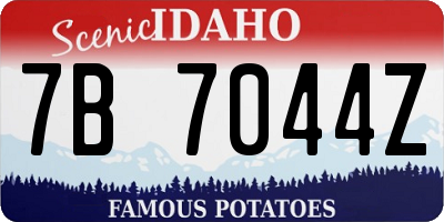 ID license plate 7B7044Z