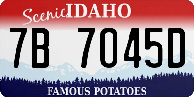 ID license plate 7B7045D