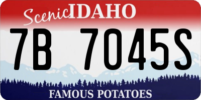 ID license plate 7B7045S