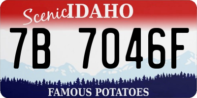 ID license plate 7B7046F