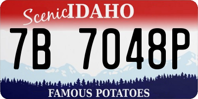 ID license plate 7B7048P