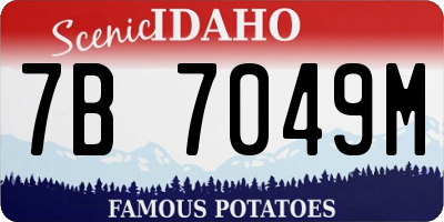 ID license plate 7B7049M