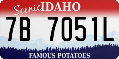 ID license plate 7B7051L