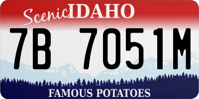 ID license plate 7B7051M