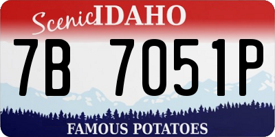 ID license plate 7B7051P