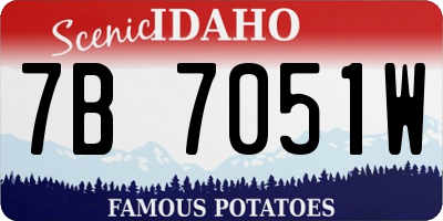 ID license plate 7B7051W