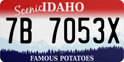 ID license plate 7B7053X