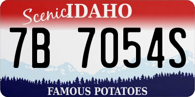 ID license plate 7B7054S