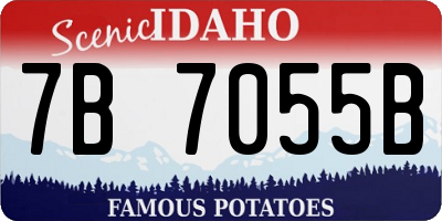 ID license plate 7B7055B