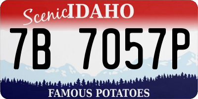 ID license plate 7B7057P