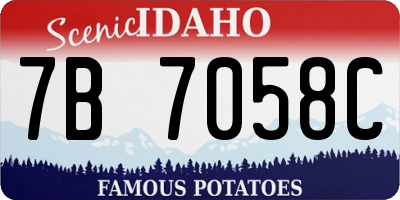 ID license plate 7B7058C