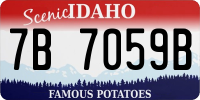 ID license plate 7B7059B