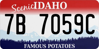 ID license plate 7B7059C