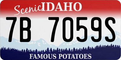 ID license plate 7B7059S