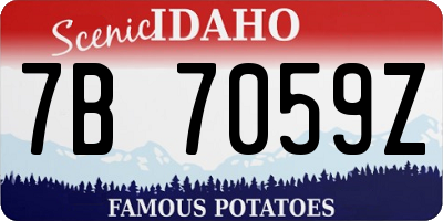 ID license plate 7B7059Z