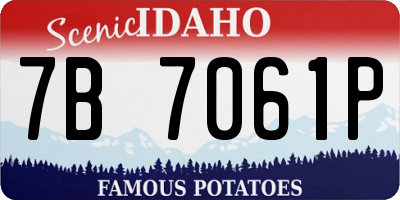 ID license plate 7B7061P