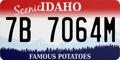ID license plate 7B7064M