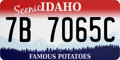 ID license plate 7B7065C