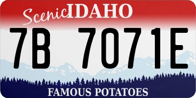 ID license plate 7B7071E
