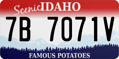 ID license plate 7B7071V