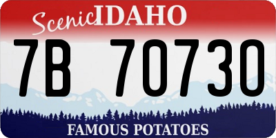 ID license plate 7B7073O
