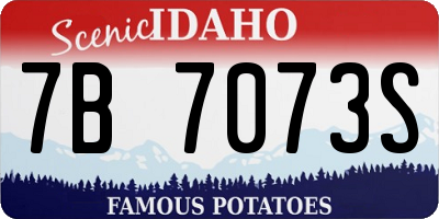 ID license plate 7B7073S