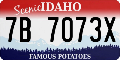 ID license plate 7B7073X