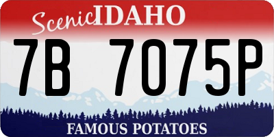ID license plate 7B7075P
