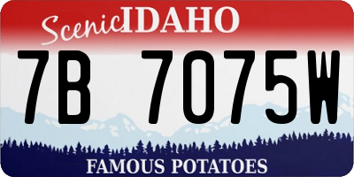 ID license plate 7B7075W