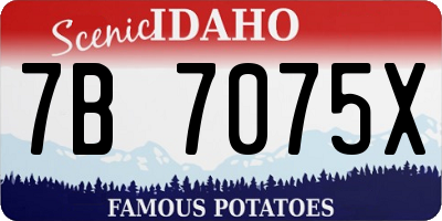 ID license plate 7B7075X