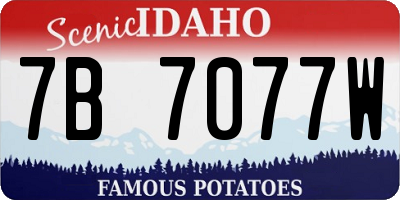 ID license plate 7B7077W