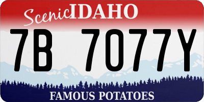ID license plate 7B7077Y