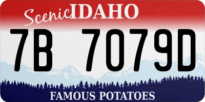 ID license plate 7B7079D