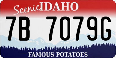 ID license plate 7B7079G