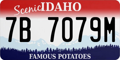 ID license plate 7B7079M
