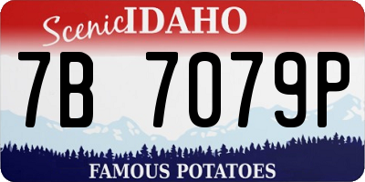 ID license plate 7B7079P